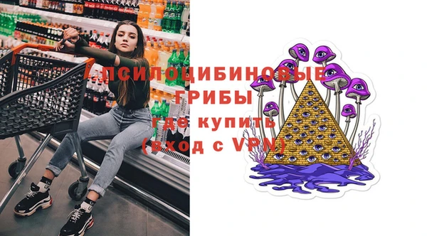 эйфоретик Алзамай