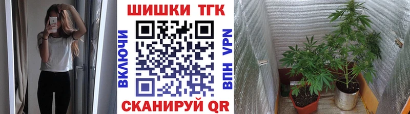 Шишки марихуана сатива  Купить закладки  Новокузнецк 